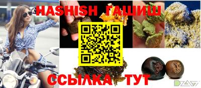стафф Лесосибирск