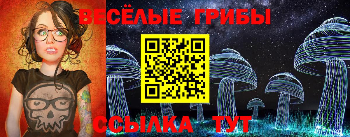 Псилоцибиновые грибы Psilocybine cubensis Зеленогорск