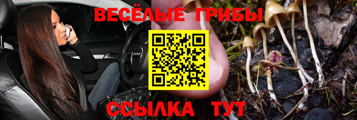 Псилоцибиновые грибы MAGIC MUSHROOMS  где можно купить наркотик  Зеленогорск  Вход с VPN 