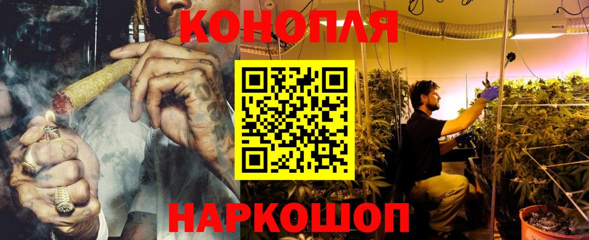 Канабис тримм  Вход с VPN  Бошки марихуана гибрид  Шишки марихуана конопля  Зеленогорск 