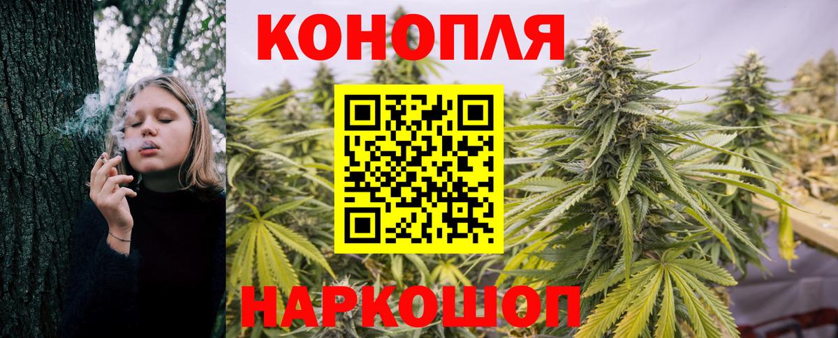 Бошки Шишки марихуана Зеленогорск